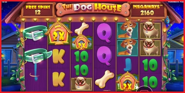 The Dog House Megaways Free spins Views